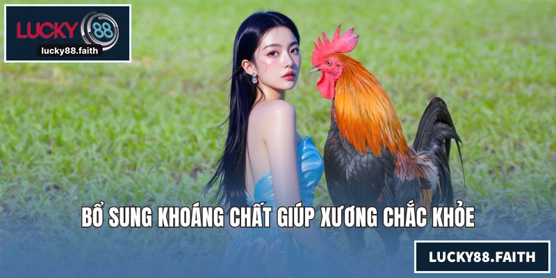 Cách Nuôi Gà Đá Chuẩn Giúp Chiến Kê Bách Chiến Bách Thắng Bổ sung khoáng chất giúp xương chắc khỏe