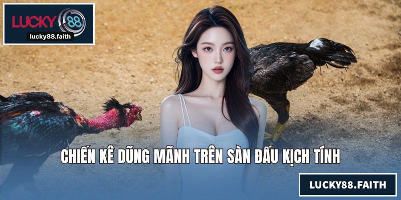 Chiến kê dũng mãnh trên sàn đấu kịch tính