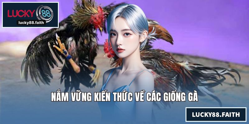 Nắm vững kiến thức về các giống gà